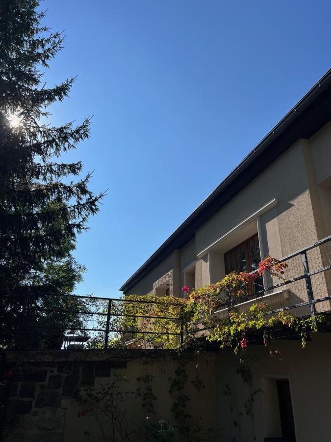 Vila Bellevue Jablonec nad Nisou Exteriér fotografie